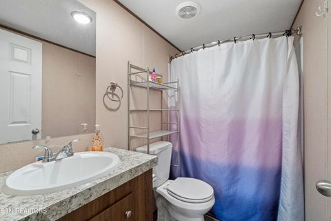 Tiny photo for 167 Millstone Way, Cosby, TN 37722 (MLS # 1327637)