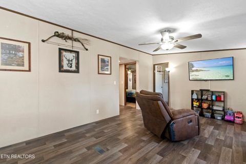 Tiny photo for 167 Millstone Way, Cosby, TN 37722 (MLS # 1327637)