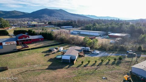 Tiny photo for 167 Millstone Way, Cosby, TN 37722 (MLS # 1327637)