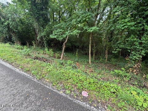 Photo of 4210 Skyline Drive, Knoxville, TN 37914 (MLS # 1354355)