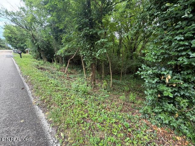 Photo of 4210 Skyline Drive, Knoxville, TN 37914 (MLS # 1354355)