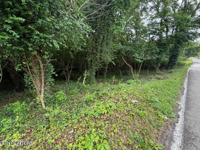 Photo of 4210 Skyline Drive, Knoxville, TN 37914 (MLS # 1354355)