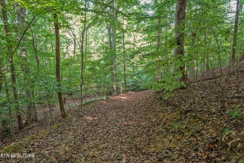 Tiny photo for 5336 Hickory Hollow Rd, Knoxville, TN 37919 (MLS # 1356063)