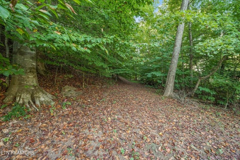 Tiny photo for 5336 Hickory Hollow Rd, Knoxville, TN 37919 (MLS # 1356063)