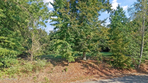 Tiny photo for 5336 Hickory Hollow Rd, Knoxville, TN 37919 (MLS # 1356063)