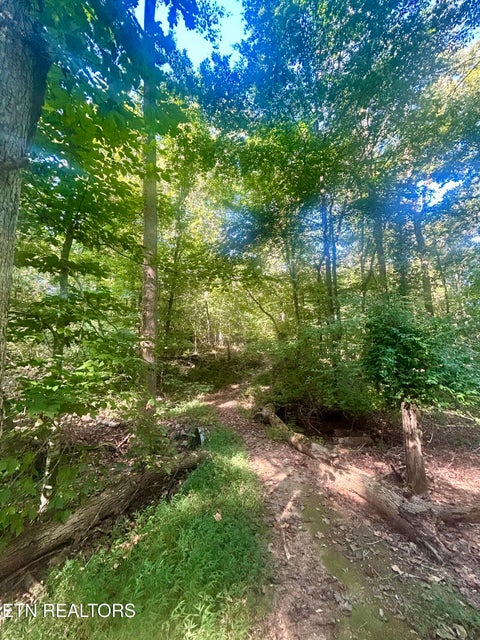 Tiny photo for 5336 Hickory Hollow Rd, Knoxville, TN 37919 (MLS # 1356063)
