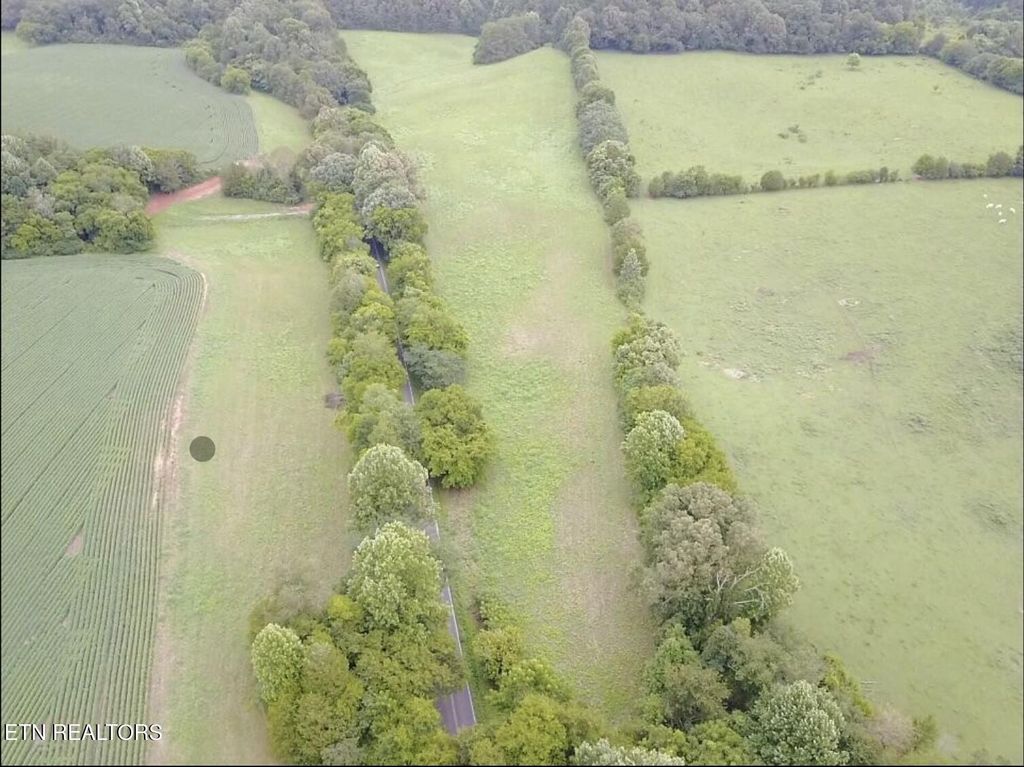 Photo of 41 Jeffries Hollow Rd, Walland, TN 37886 (MLS # 1239556)