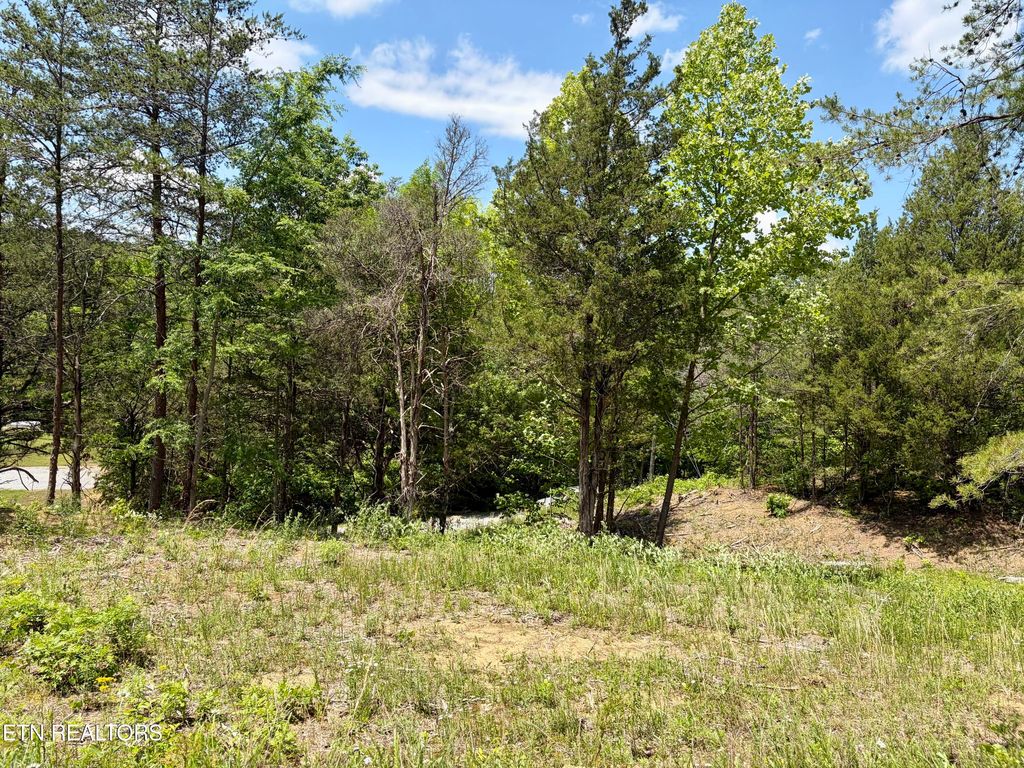 Photo of Burchfiel Way, Sevierville, TN 37876 (MLS # 1345988)