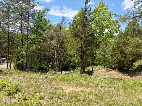 Photo of Burchfiel Way, Sevierville, TN 37876 (MLS # 1345988)