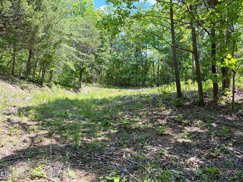 Photo of Burchfiel Way, Sevierville, TN 37876 (MLS # 1345988)