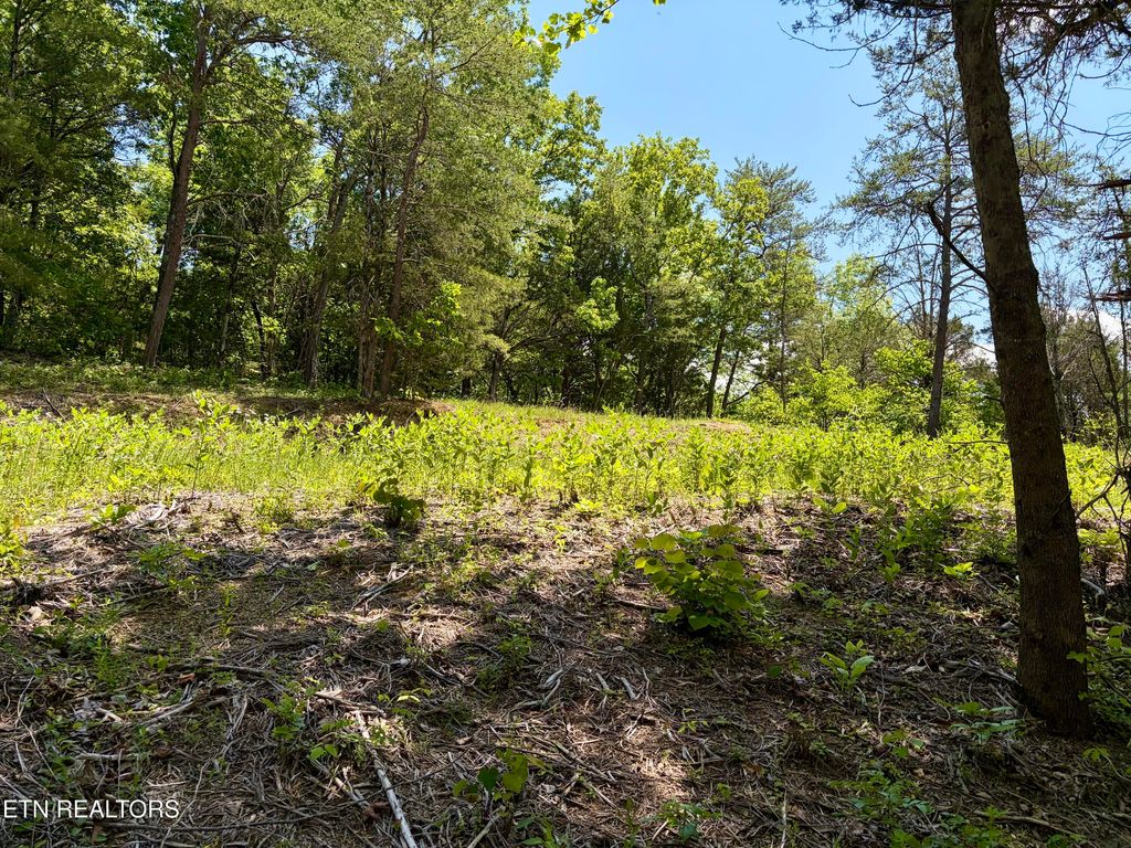 Photo of Burchfiel Way, Sevierville, TN 37876 (MLS # 1345988)