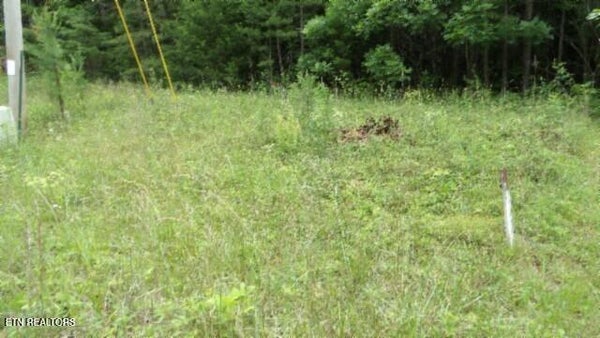 235 PARKSTOWN RD, WILDER, TN 38589 - Image e39fd9fa76eec7cf3f85cc62790acdcc/2627943463