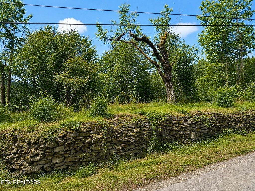 Photo of 213 Duncan Rd, Briceville, TN 37710 (MLS # 1345905)