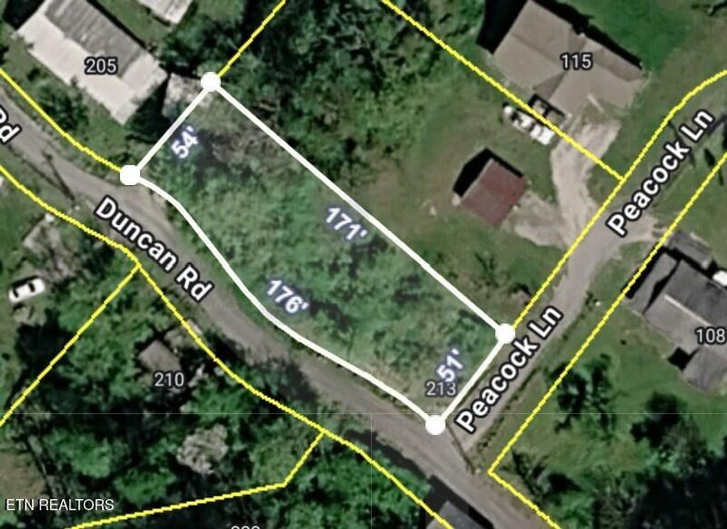 Photo of 213 Duncan Rd, Briceville, TN 37710 (MLS # 1345905)