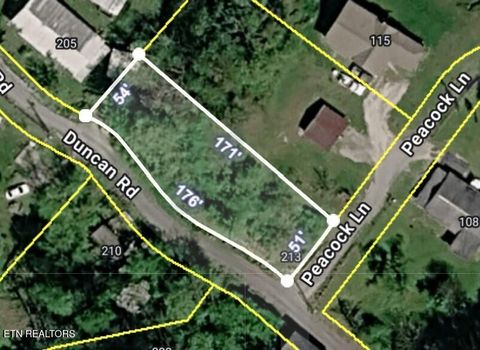 Photo of 213 Duncan Rd, Briceville, TN 37710 (MLS # 1345905)