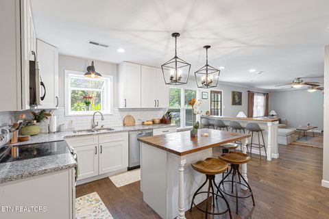 Tiny photo for 1117 Harbour Shore Drive, Knoxville, TN 37934 (MLS # 1320035)