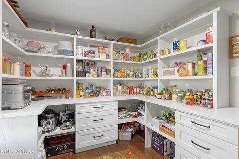 Tiny photo for 1117 Harbour Shore Drive, Knoxville, TN 37934 (MLS # 1320035)