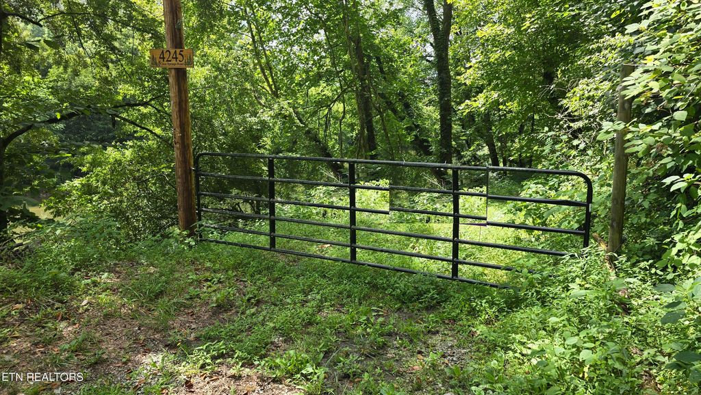 Photo of 4245 Cave Springs Rd, Tazewell, TN 37879 (MLS # 1307957)