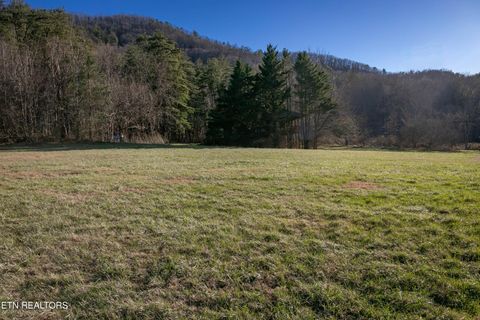 Tiny photo for 3624 Katy Hollar Rd Rd, Sevierville, TN 37862 (MLS # 1324784)