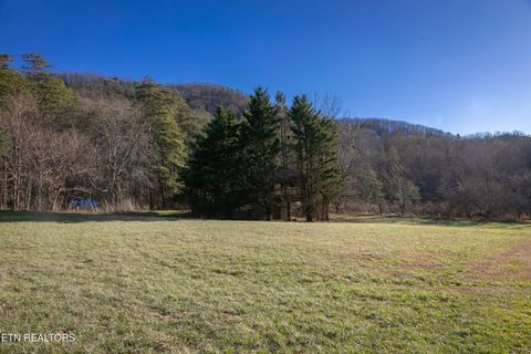 Tiny photo for 3624 Katy Hollar Rd Rd, Sevierville, TN 37862 (MLS # 1324784)