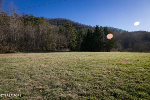 Tiny photo for 3624 Katy Hollar Rd Rd, Sevierville, TN 37862 (MLS # 1324784)