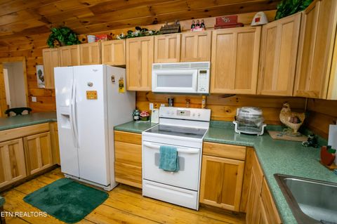 Tiny photo for 3624 Katy Hollar Rd Rd, Sevierville, TN 37862 (MLS # 1324784)
