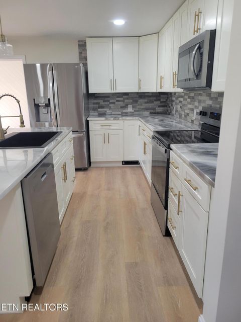 Tiny photo for 1711 Haire Rd, Dandridge, TN 37725 (MLS # 1330046)