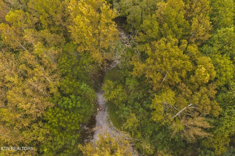 Tiny photo for 1444 Beech Creek Rd, Rogersville, TN 37857 (MLS # 1357389)