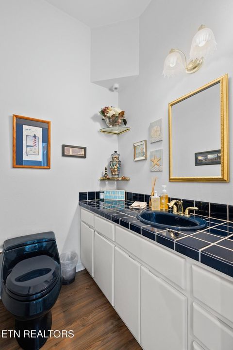 Tiny photo for 211 Mariners Way, Dandridge, TN 37725 (MLS # 1344391)