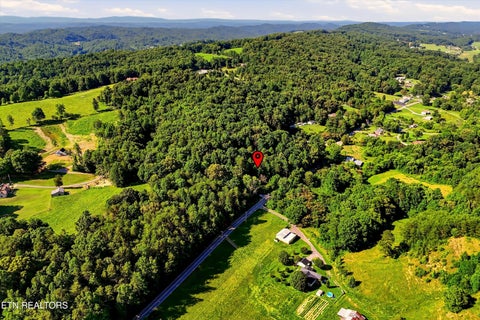 Tiny photo for 4856 Hickory Valley Rd, Heiskell, TN 37754 (MLS # 1347158)