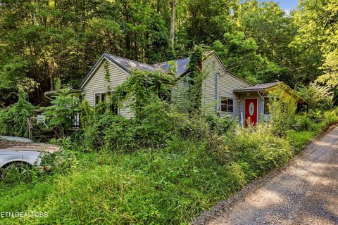 Tiny photo for 4856 Hickory Valley Rd, Heiskell, TN 37754 (MLS # 1347158)