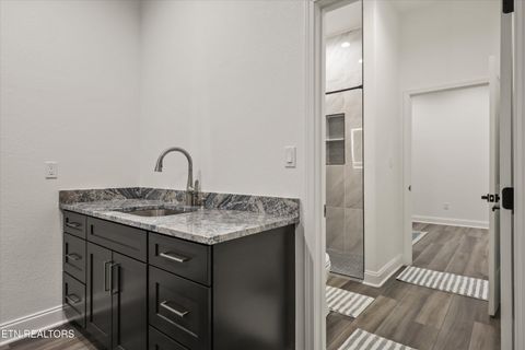 Tiny photo for 481 Masters Lane, Bean Station, TN 37708 (MLS # 1333920)