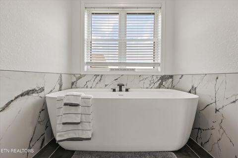 Tiny photo for 481 Masters Lane, Bean Station, TN 37708 (MLS # 1333920)