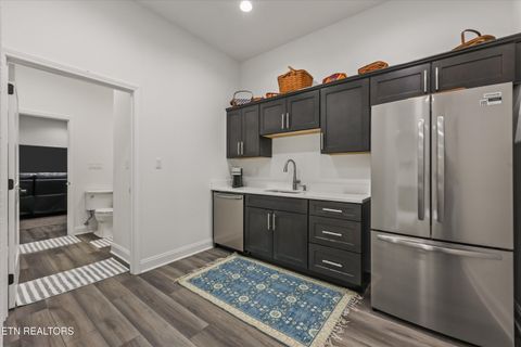 Tiny photo for 481 Masters Lane, Bean Station, TN 37708 (MLS # 1333920)