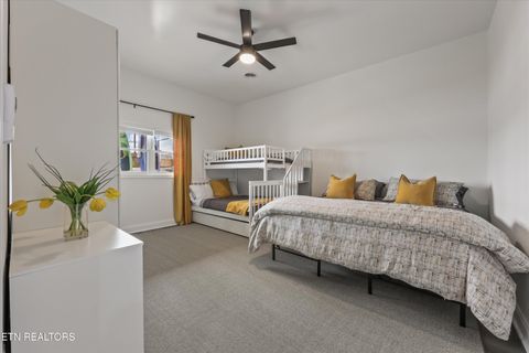 Tiny photo for 481 Masters Lane, Bean Station, TN 37708 (MLS # 1333920)