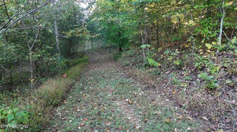 Tiny photo for 00 Geren Subdivision Lane, Decatur, TN 37322 (MLS # 1319406)