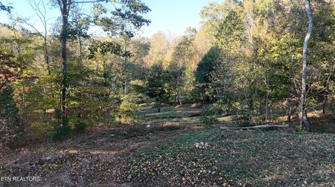 Tiny photo for 00 Geren Subdivision Lane, Decatur, TN 37322 (MLS # 1319406)
