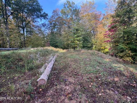 Tiny photo for 00 Geren Subdivision Lane, Decatur, TN 37322 (MLS # 1319406)