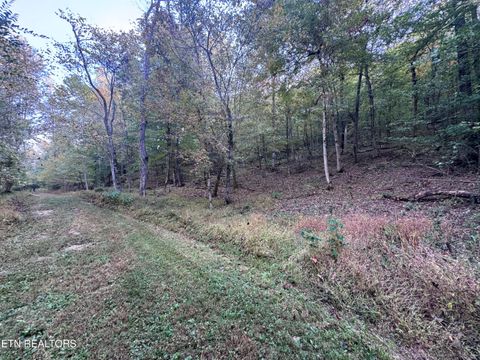Tiny photo for 00 Geren Subdivision Lane, Decatur, TN 37322 (MLS # 1319406)
