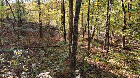 Tiny photo for 00 Geren Subdivision Lane, Decatur, TN 37322 (MLS # 1319406)