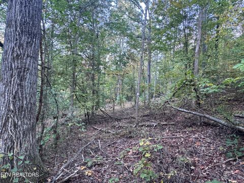 Tiny photo for 00 Geren Subdivision Lane, Decatur, TN 37322 (MLS # 1319406)