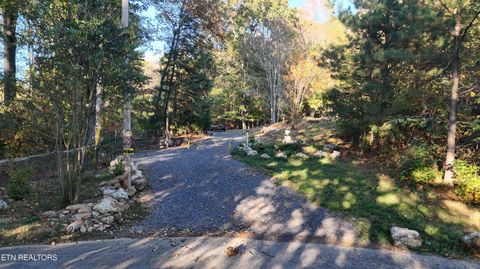 Tiny photo for 00 Geren Subdivision Lane, Decatur, TN 37322 (MLS # 1319406)