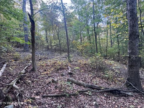 Tiny photo for 00 Geren Subdivision Lane, Decatur, TN 37322 (MLS # 1319406)