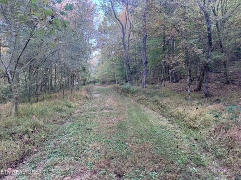Tiny photo for 00 Geren Subdivision Lane, Decatur, TN 37322 (MLS # 1319406)