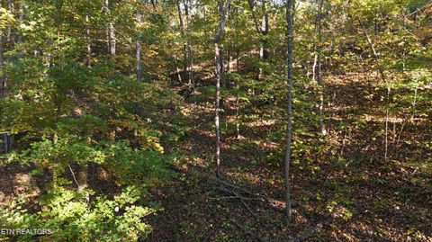 Tiny photo for 00 Geren Subdivision Lane, Decatur, TN 37322 (MLS # 1319406)