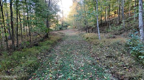Tiny photo for 00 Geren Subdivision Lane, Decatur, TN 37322 (MLS # 1319406)
