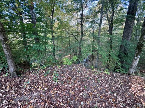 Tiny photo for 00 Geren Subdivision Lane, Decatur, TN 37322 (MLS # 1319406)