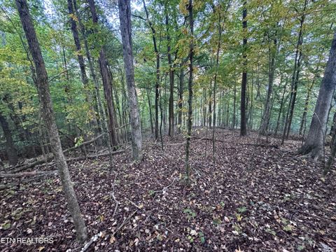 Tiny photo for 00 Geren Subdivision Lane, Decatur, TN 37322 (MLS # 1319406)