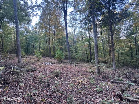 Tiny photo for 00 Geren Subdivision Lane, Decatur, TN 37322 (MLS # 1319406)