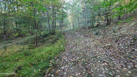 Tiny photo for 00 Geren Subdivision Lane, Decatur, TN 37322 (MLS # 1319406)